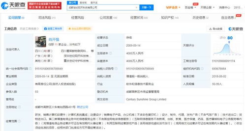 計(jì)算機(jī)軟硬件研發(fā)與銷售 技術(shù)驅(qū)動(dòng)與市場(chǎng)拓展的雙輪引擎